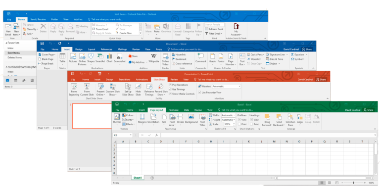 Office 2019 Professional Plus Interface Example