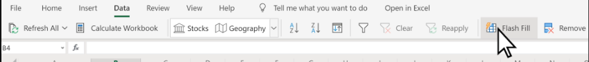 Flash Fill Feature