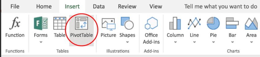  Pivot Table in Microsoft Excel