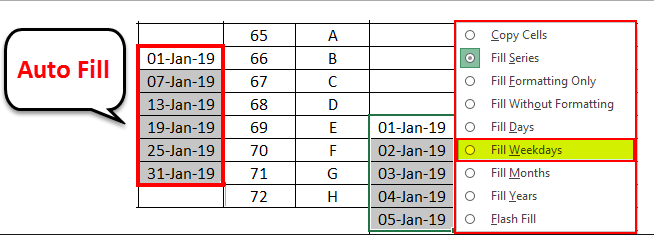 AutoFill Feature in Excel