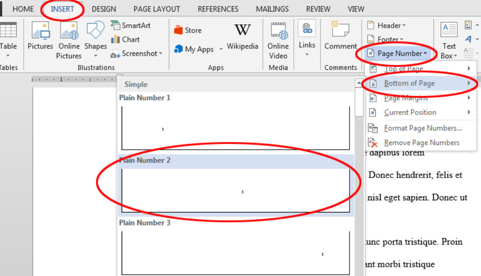 Default Page Numbering Format