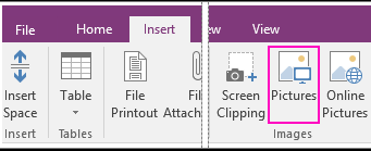 Picture in Microsoft OneNote