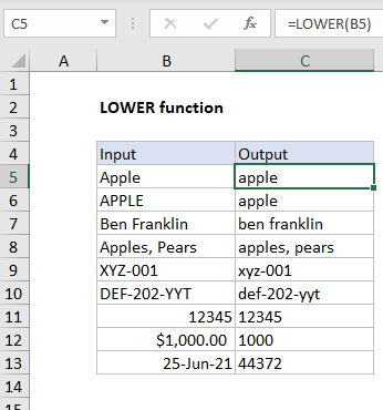  LOWER Function