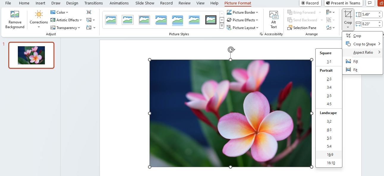 Crop a Picture in PowerPoint