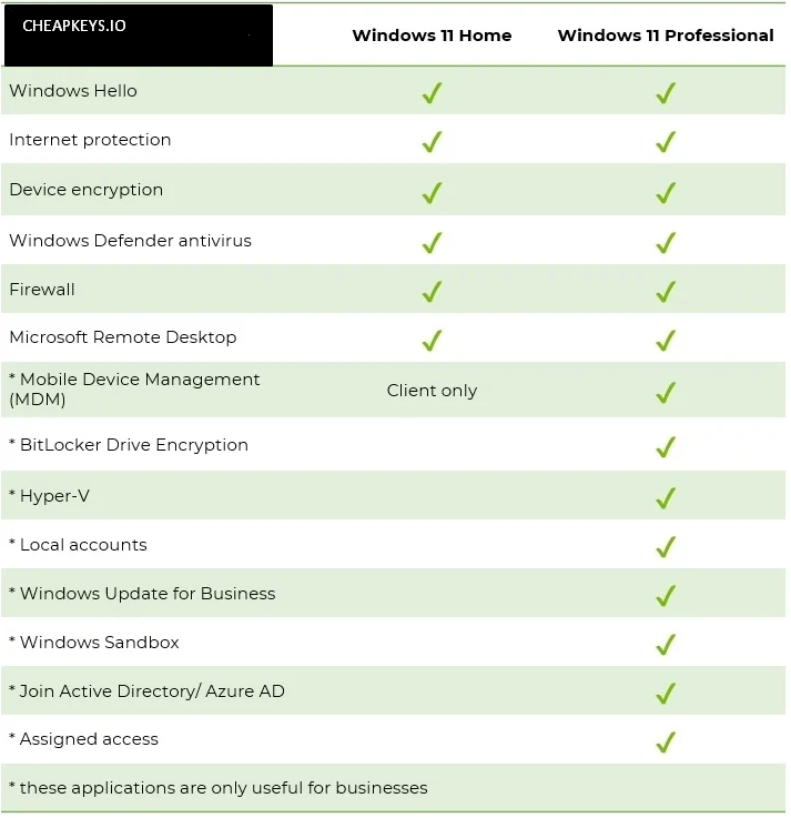 Distinguishes Windows 11 Pro from Windows 11 Home