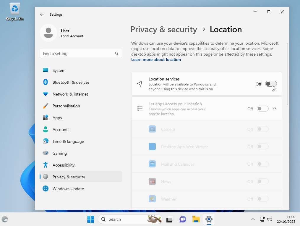 Privacy Settings in Windows 11 Home