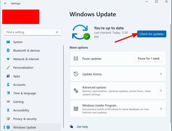 Check For Updates in Windows 11 Home