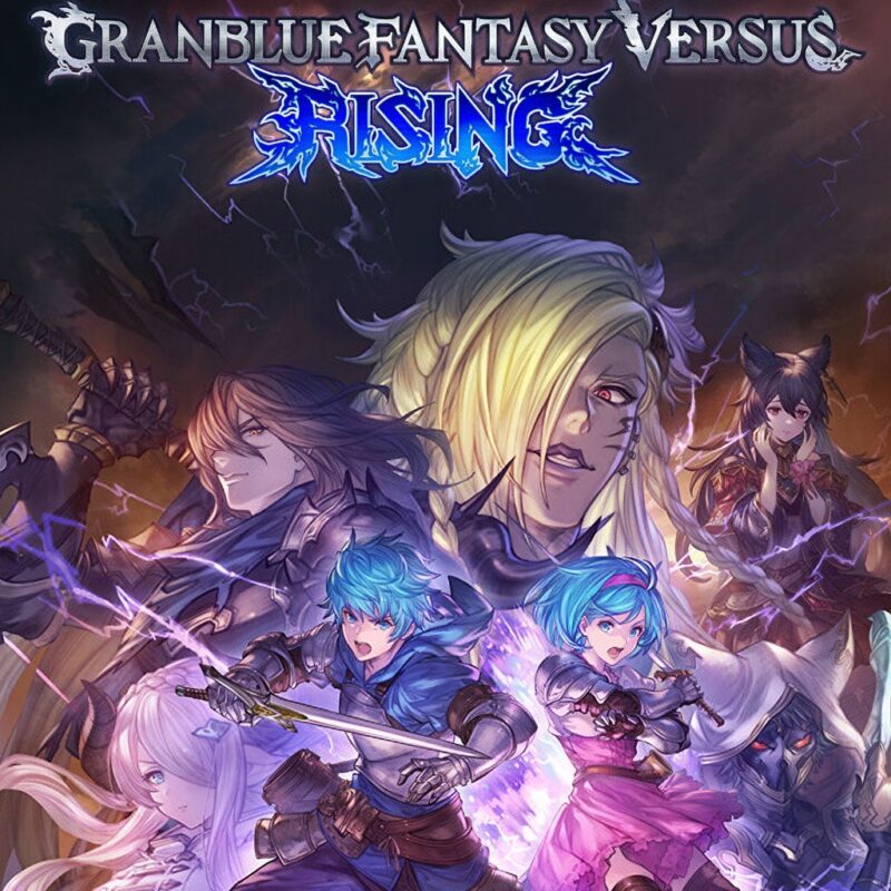 Promotional art for Granblue Fantasy Versus Rising showing multiple armed fighters in action with a dramatic fantasy backdrop and the game logo at the top.